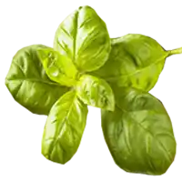 Базилик (гликемический индекс)