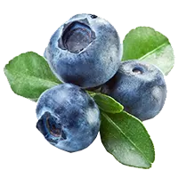 Черника (гликемический индекс)