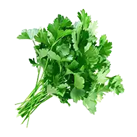 Петрушка (гликемический индекс)