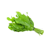 Щавель (гликемический индекс)