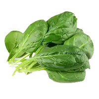 Шпинат (гликемический индекс)