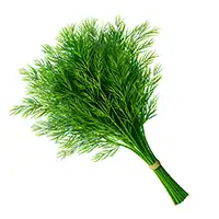 Укроп (гликемический индекс)